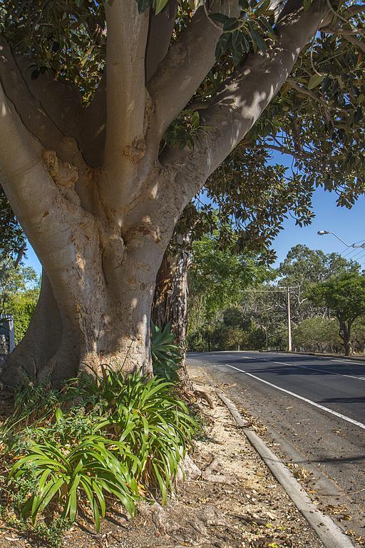Stoneleigh Cottage Bed And Breakfast Angaston Esterno foto